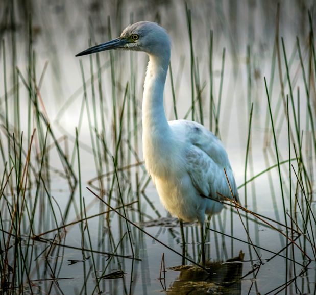 things to do for destination